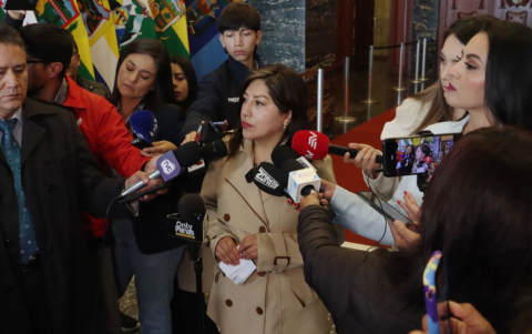 La asambleísta de ADN, Inés Alarcón, preside la mesa de Seguridad.