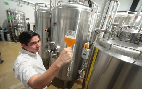 En la planta producen hasta 25.000 litros de cerveza artesanal al mes.
