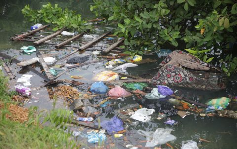 El ecosistema del estero Salado es severamente afectado por los desechos que flotan en sus aguas.