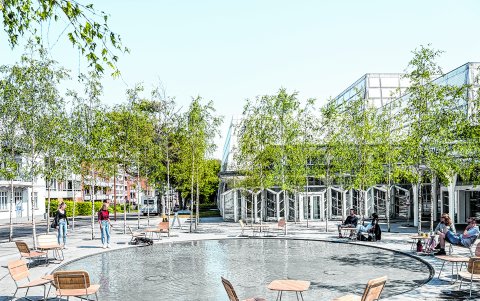 Esta es la propuesta para mejorar la pileta