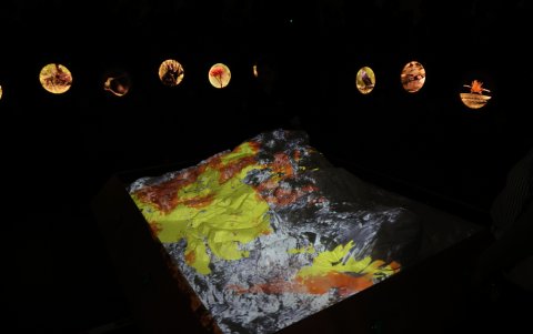 Un modelo en 3D exhibe las zonas por donde hay ríos y bosques, y también donde se concentra la minería.