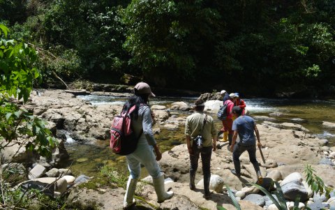 Los recorridos por la selva que conectan con ríos cristalinos son el enganche para el turista en la Amazonía.