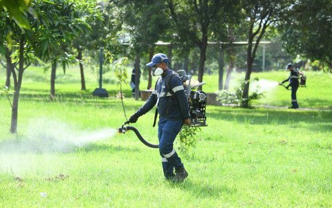 Brigadas municipales han intensificado la fumigación en zonas vulnerables. Pese a ellos la ciudadanía asegura que los vectores afectan a barrios enteros. Necesitan más acciones, alegan.