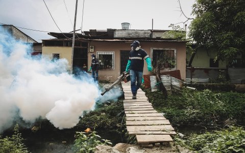 Sectores como Pascuales, Ciudad de Dios y Las Cumbres han sido intervenidos por el Municipio. Ahí se han presentado varios casos.