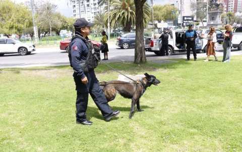 Los puestos de mando también cuentan con guías caninos para la detección de sustancias ilícitas.