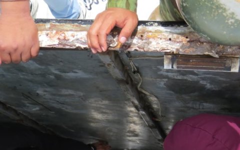 Paquetes dentro de un vehículo parte de un cargamento de marihuana que fue incautado en la provincia de Carchi, fronteriza con Colombia.