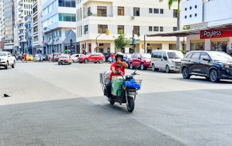 Se han vuelto el vehículo por excelencia de muchos usuarios.