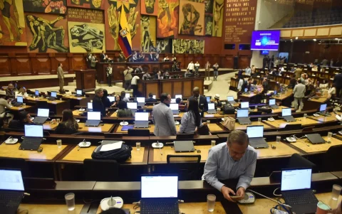 El Pleno de la Asamblea aprobó informe sobre cumplimiento de requisitos de la ley poara uso del cannabis.