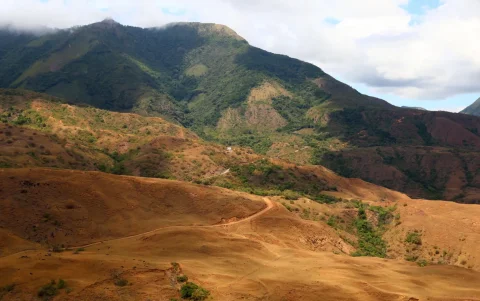 Fotografía del 25 de marzo de 2026 que muestra un sendero por donde caminan indígenas, en Chiriquí (Panamá).