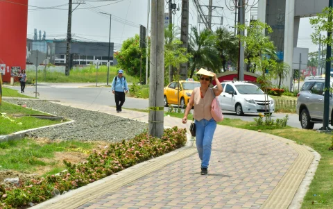 Refugio. Los transeúntes buscan cubrirse del sol ante la falta de sombra.