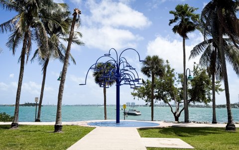 Entre palmeras que se mueven con la brisa, y una gastronomía tan diversa como deliciosa, existe un destino que desborda energía, color y sabor.