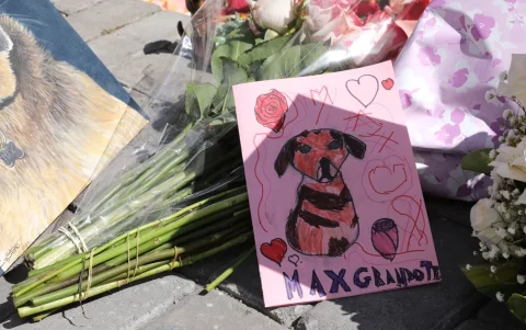 Decenas de personas despiden a Max en Quito, referente del cuidado de animales comunitarios.