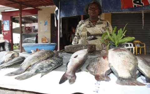 Carmen Solis, una de las comerciantes de pescado que ha encontrado el alimento más caro por el incremento del precio de los combustibles.
