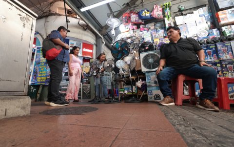 Los ventiladores oscilaban entre los 13 dólares hasta los 60.