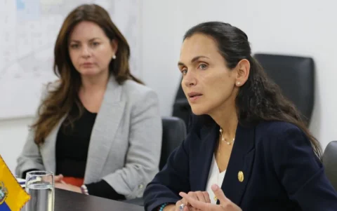 La ministra de Ambiente y Energía, Inés Manzano, dispuso la salida de funcionarios de dos entidades clave del sector eléctrico.