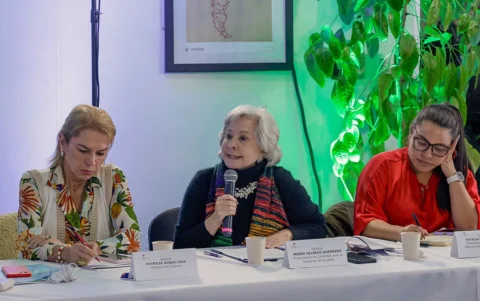 La embajadora colombiana María Velasco Guerrero expuso, en la sesión de gabinete colombiano, celebrado en Ipiales, sobre los índices de inseguridad de Ecuador.