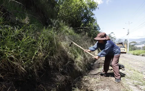 En San Francisco de Miravalle, moradores cortan ramas secas para prevenir incendios forestales durante esta temporada seca.