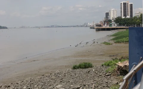 La mancomunidad articula decisiones sobre agua, suelo y desarrollo entre provincias conectadas a la cuenca del Guayas.