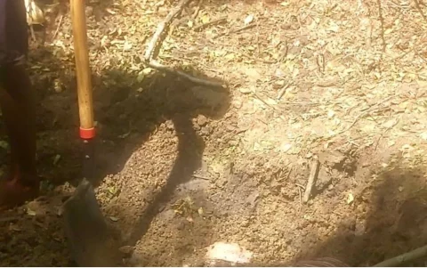 Armada halló dos fosas con cuerpos en Esmeraldas durante operativo conjunto este domingo.