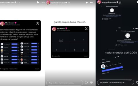 Los mensajes que Mar Rendón dejó sobre sus nuevos seguidores en Instagram.