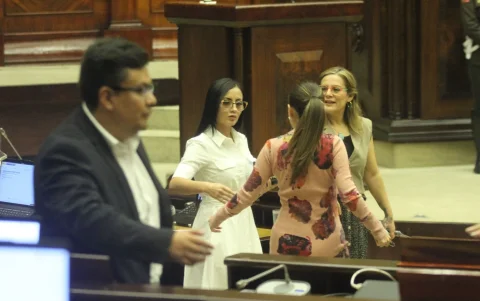 El correísmo en la Asamblea se opone a las reformas judiciales.