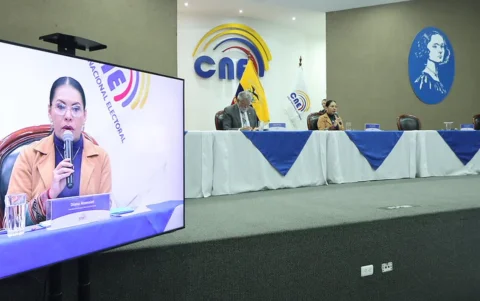 El Pleno del CNE está en funciones prorrogadas.