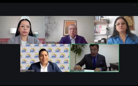 Durante la sesión del Pleno, el mismo vocal suplente, José Merino, admitió que el CNE incumplió el plazo para la cancelación de Unidad Popular y Constuye.
