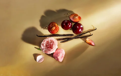 Notas como rosa, vainilla, ámbar y frutas se combinan en la línea Ccori de Yanbal para crear aromas que resaltan la esencia y personalidad de cada mujer.
