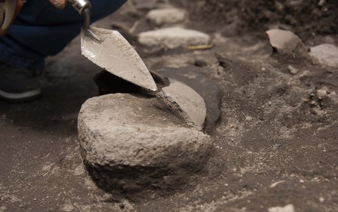 Entre los hallazgos aparecen fogones, pisos y hoyos de poste que delinean espacios habitacionales y productivos.