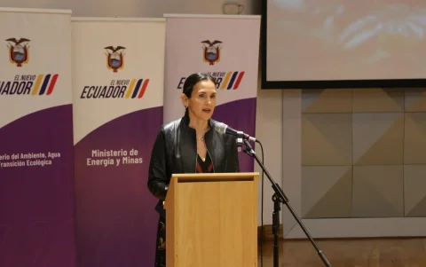 La ministra de Energía y Ambiente, Inés Manzano, enfrenta una denuncia por peculado tras el fracaso de contratos de generación.