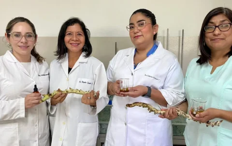 Investigaciones en la Universidad de Guayaquil buscan convertirla en fitofármacos y productos dermocosméticos.