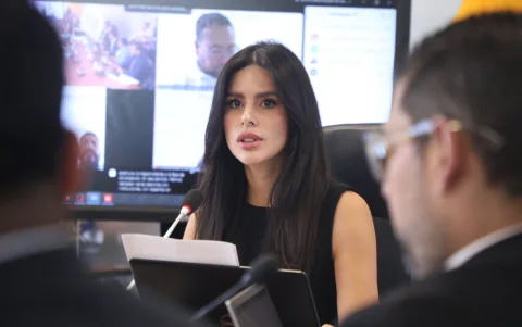 Diana Jácome es presidenta de la Comisión de Transparencia de la Asamblea.