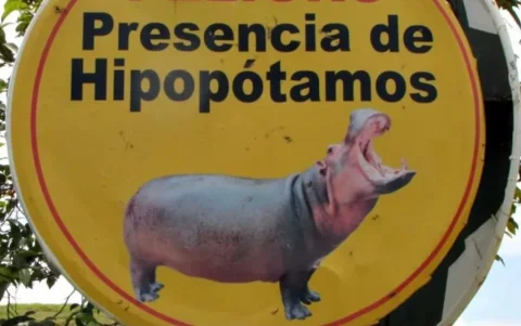 Valla en el Santuario Ostok de México.