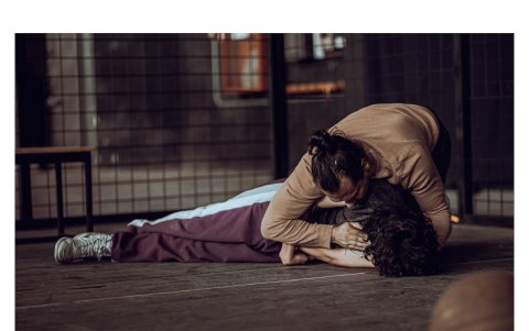 En Tebas Land, el teatro se vuelve un espejo incómodo, donde la paternidad, la culpa y la mirada social se tensionan.