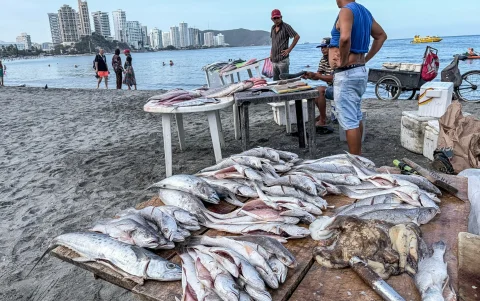 Un vendedor de pescado ofrece sus productos en un puesto junto a la playa en Santa Marta, departamento de Magdalena, Colombia, el 19 de abril de 2026.
