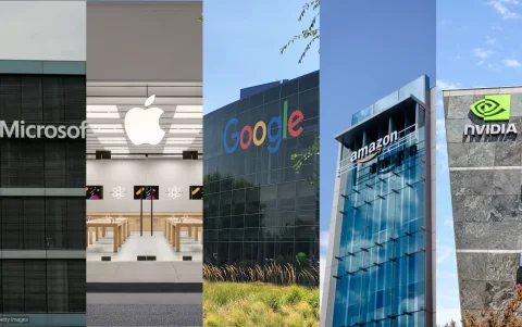 Top 5 del año 2026