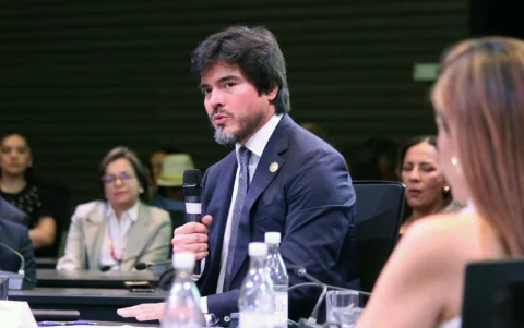 José De La Gasca apareció junto a Roberto Gilbert durante una sesión virtual del Pleno del Consejo de Participación Ciudadana.