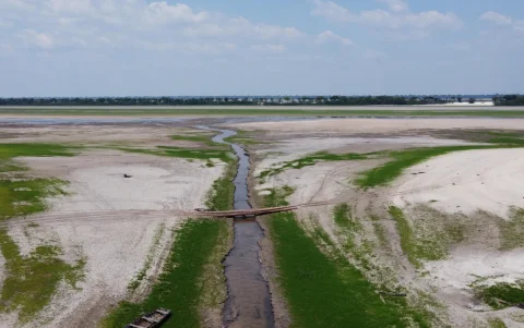 Una zona de Río Negro afectada por una sequía en el estado de Amazonas (Brasil)
