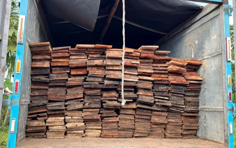 Fuerzas Armadas decomisaron madera y combustible usados en minería ilegal amazónica.