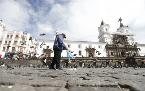 Centro. Alimentar a las palomas favorece la presencia de múltiples plagas.