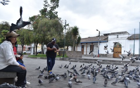 El recorrido arranca en el Centro Cívico Cultural Museo y Biblioteca Mariscal Sucre, en Chillogallo, al sur de Quito.