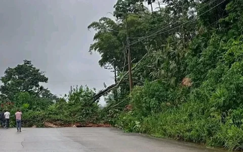 Las fuertes lluvias generaron derrumbes que obstaculizaron la vía Y de Narupa - Baeza, en Napo.