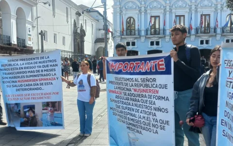 Familiares de niños con atrofia muscular espinal fueron recibidos en Carondelet por el subsecretario Lenín Soria y su equipo.