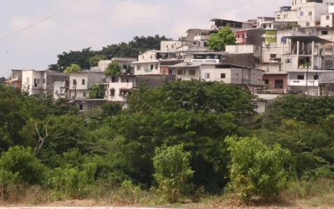 Frontera entre el bosque seco de la facultad de Ciencias Naturales de la UG y la urbanización. Norte de Guayaquil.