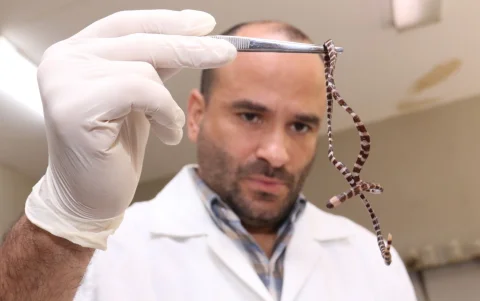 Ramón Zambrano muestra un ejemplar del laboratorio didáctico.
