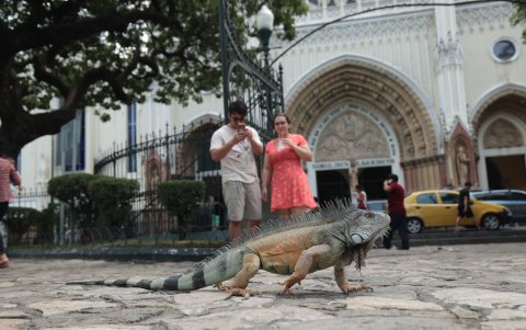 El parque Seminario también es conocido como el