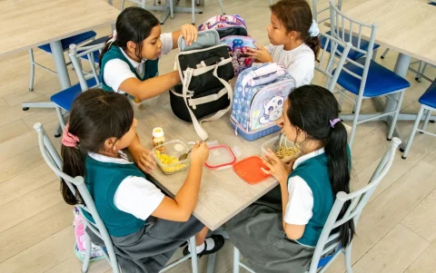 La obesidad volvió al centro del debate legislativo en Ecuador.