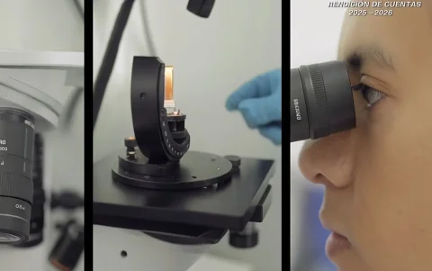 La nueva tecnología permitirá acelerar investigaciones criminales mediante evidencia balística “precisa”.