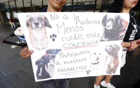 Animalistas respaldaron con un plantón ciudadano el tratamiento de la ordenanza metropolitana sobre pirotecnia en Quito.