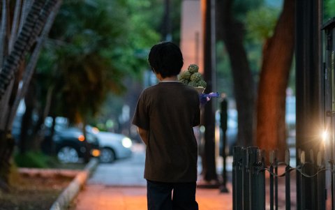 Algunos niños trabajan por